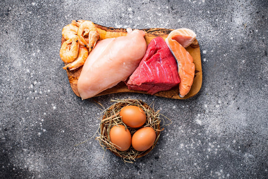 Which proteins are best for dogs? - Precious Creatures Co