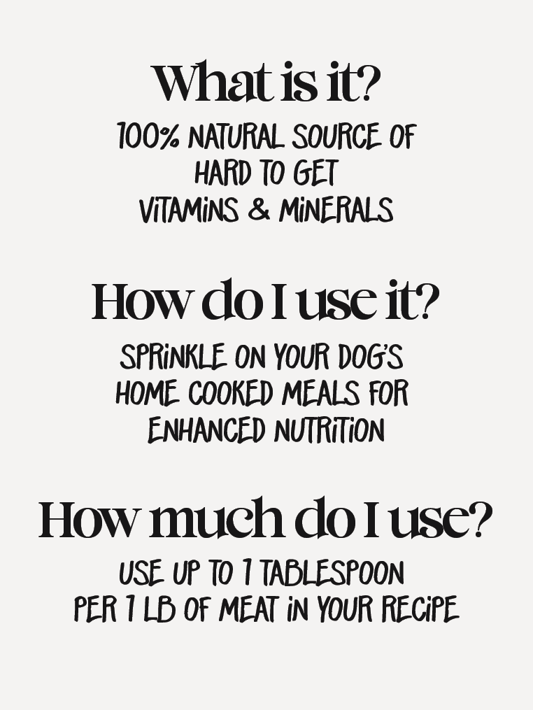 All Pups Seasoning - Precious Creatures Co