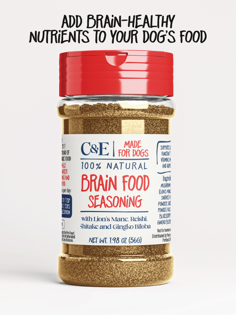 Brain Food Seasoning - Precious Creatures Co