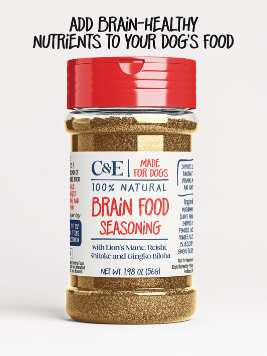 Brain Food Seasoning - Precious Creatures Co