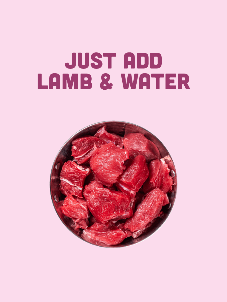 Lamb Curry (Hypoallergenic) - Precious Creatures Co