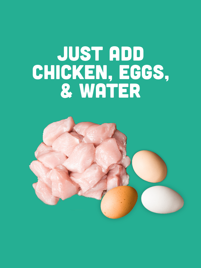 *PREORDER - SHIPS LATE AUGUST* Chicken Risotto - Precious Creatures Co