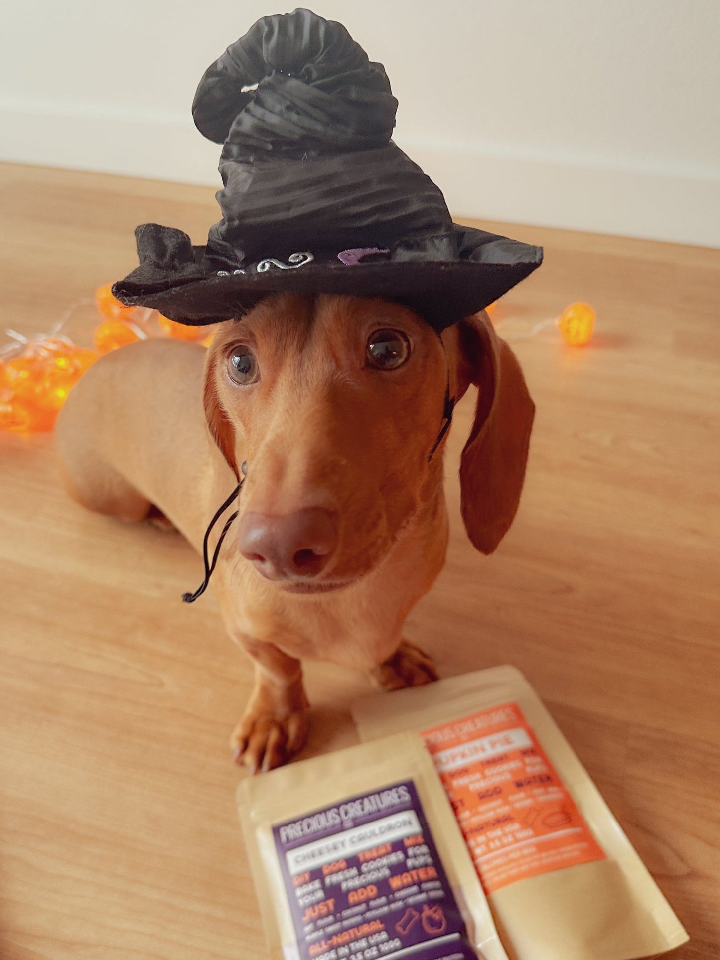 Autumn Cookie Mix Duo - Precious Creatures Co