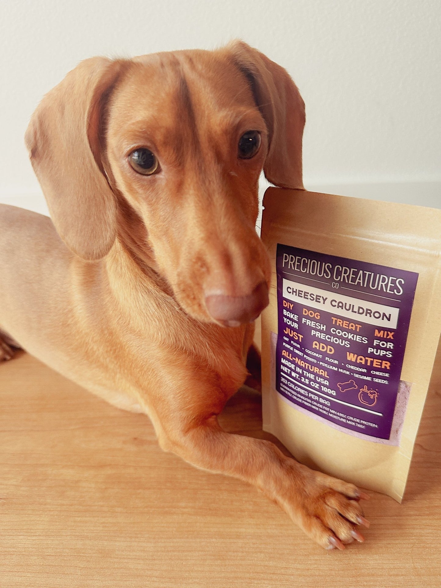 Cheesey Cauldron Cookie Mix - Precious Creatures Co