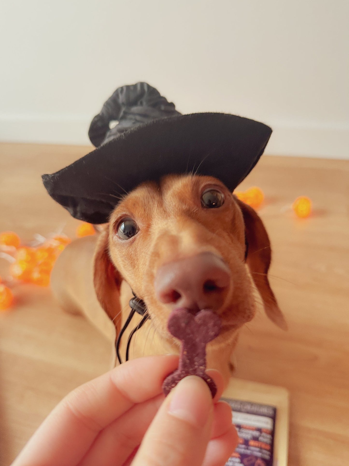 Cheesey Cauldron Cookie Mix - Precious Creatures Co