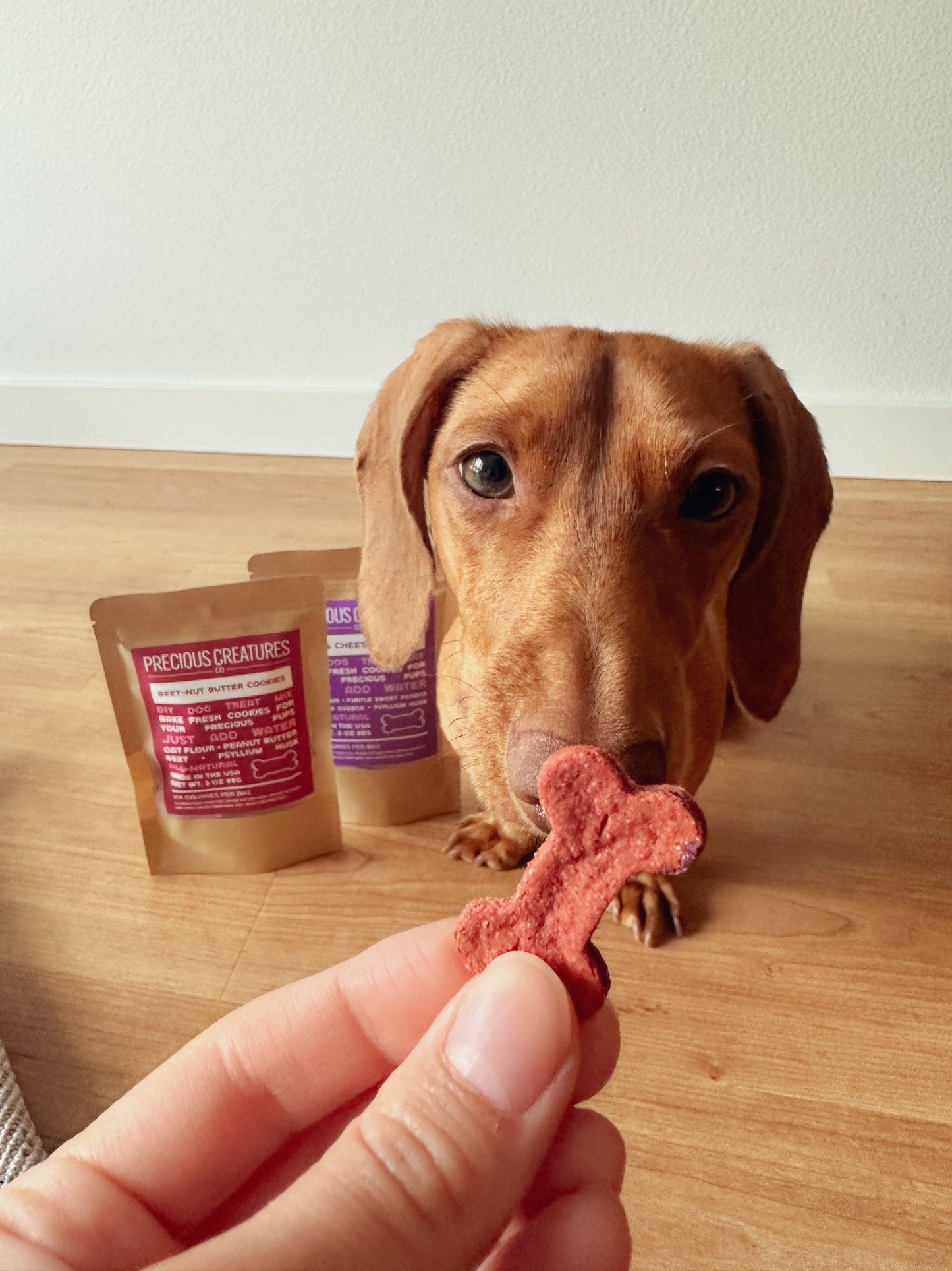 Cookie Mix Duo - Precious Creatures Co