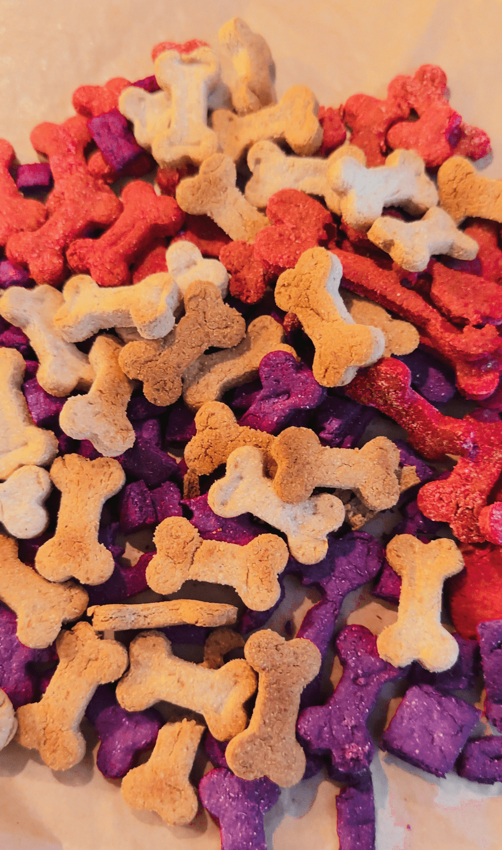 Cookie Mix Duo - Precious Creatures Co