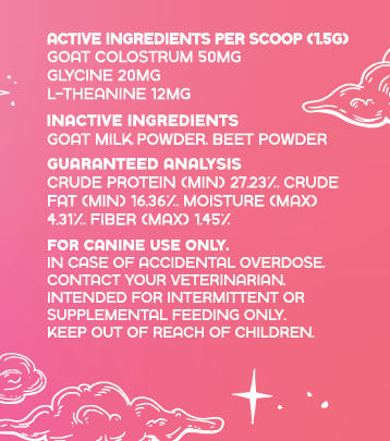 Pup-Pink Drink - Precious Creatures Co