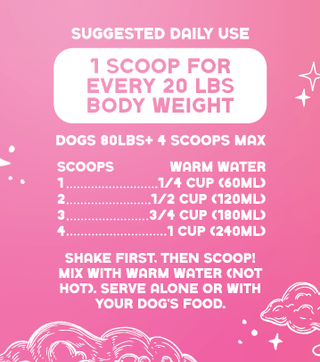 Pup-Pink Drink - Precious Creatures Co