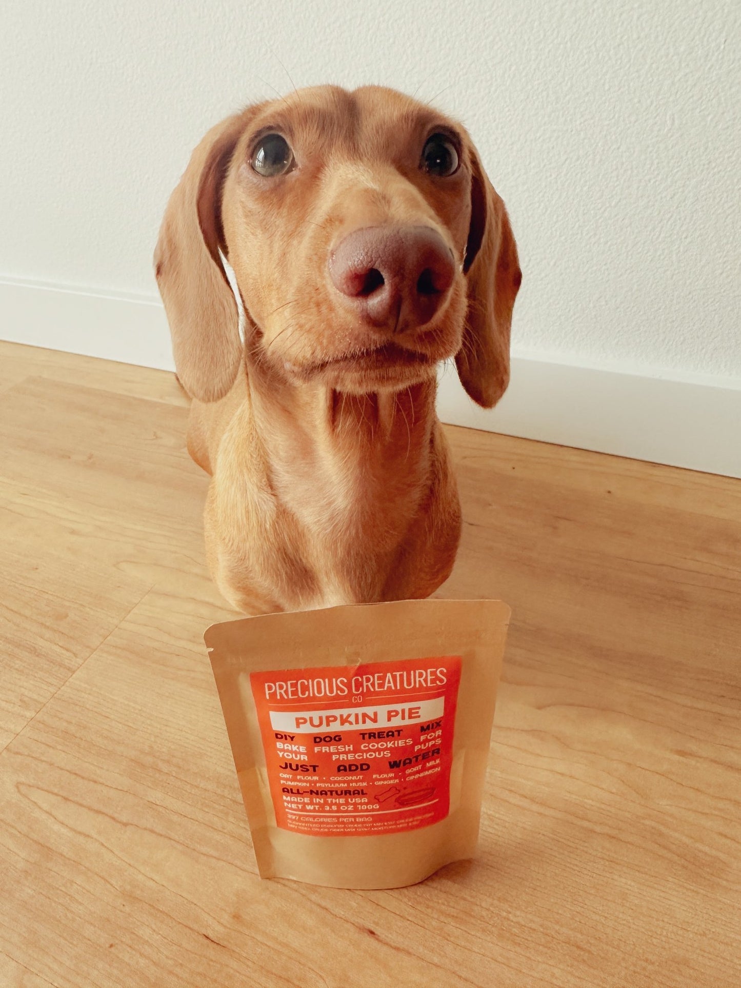 Pupkin Pie Cookie Mix - Precious Creatures Co