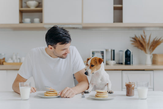 Dog Longevity: How a Varied Diet Can Add Years to Your Dog's Life