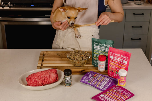 About Precious Creatures - Precious Creatures Co