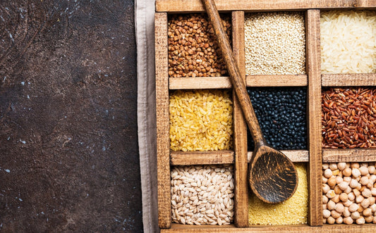 Should dogs eat carbs? - the good, the bad and the ugly - Precious Creatures Co