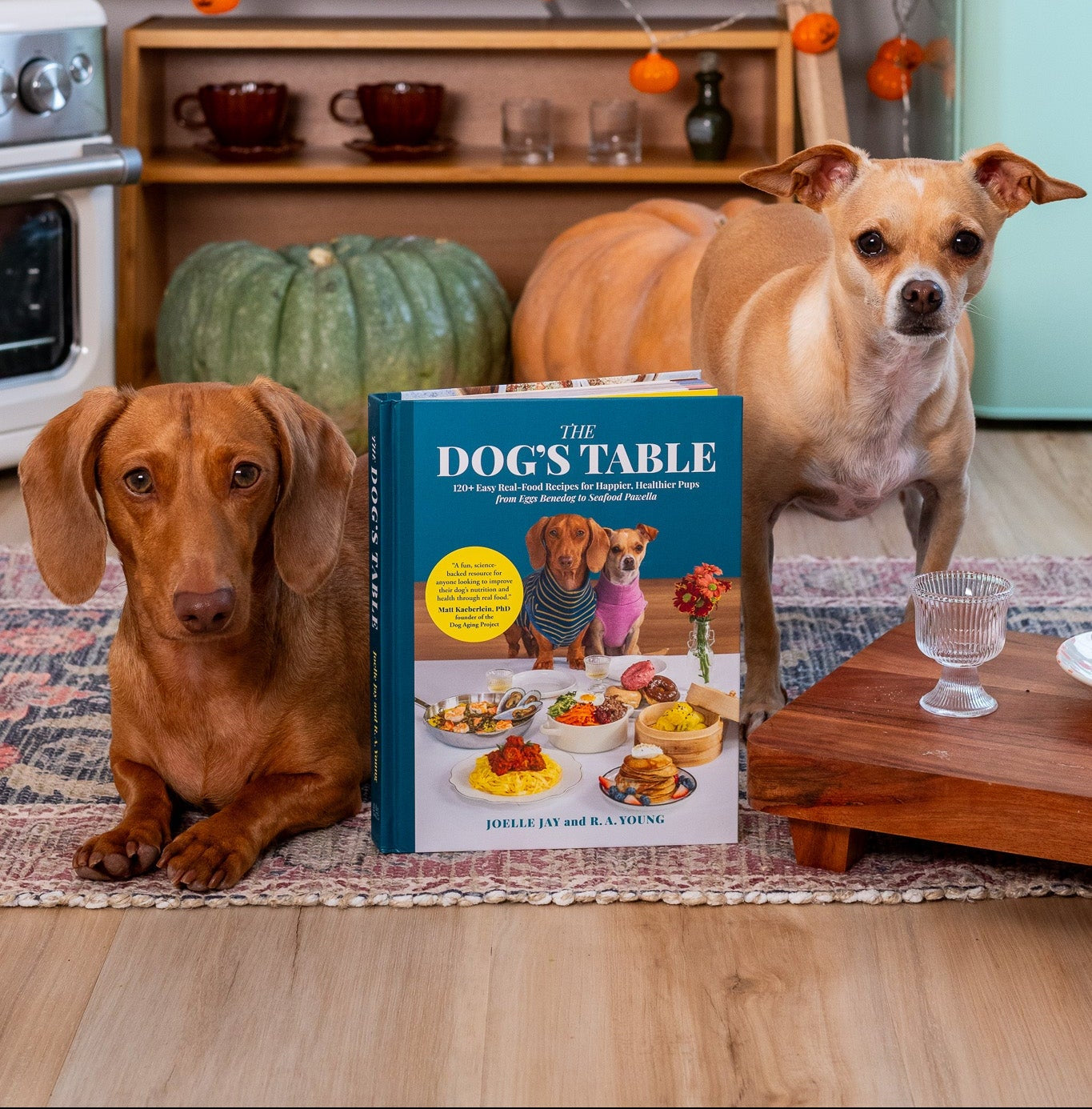 Famous Dogs Cedric and Edith in their kitchen studio set, posing with their cookbook for homemade dog food, titled 'The Dog's Table'.