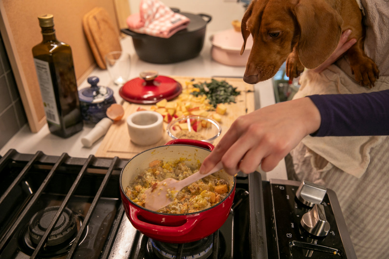 Joelle from thecedlife cooking natural, homemade dog food in a red pot on a stove with Cedric the dachshund looking on.