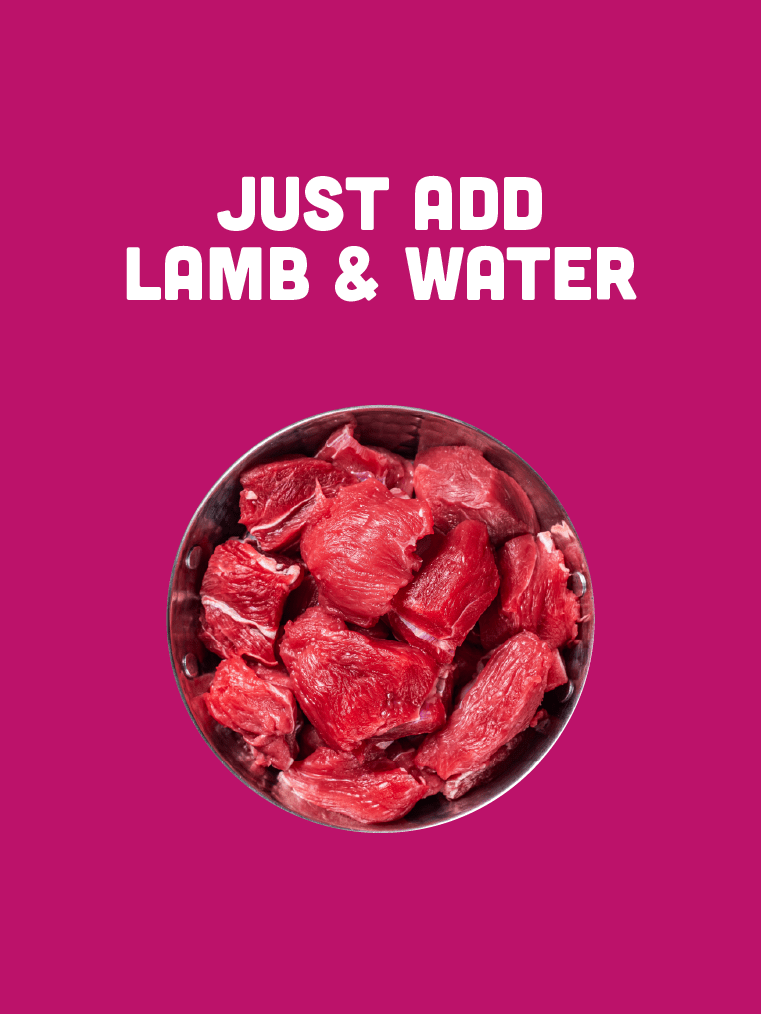 *PREORDER - SHIPS LATE SEPTEMBER* - Lamb Curry (Hypoallergenic) - Precious Creatures Co