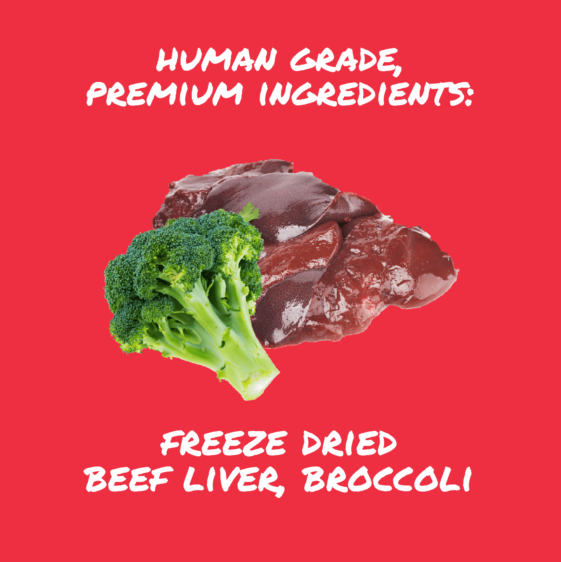 Beef Liver & Broccoli - Lucky Pup Freeze Dried Treats - Precious Creatures Co